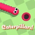 Caterpillars