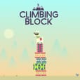 Climbing Block