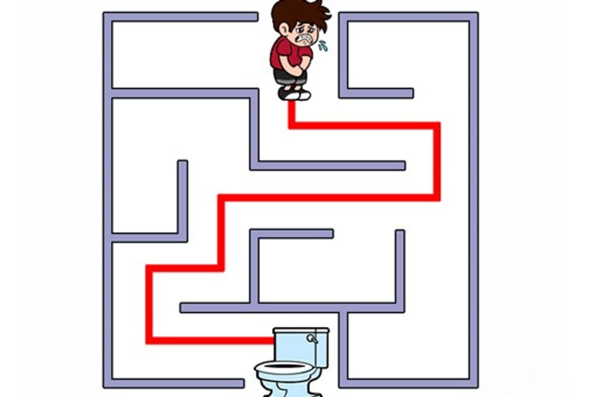 Maze Escape: Toilet Rush
